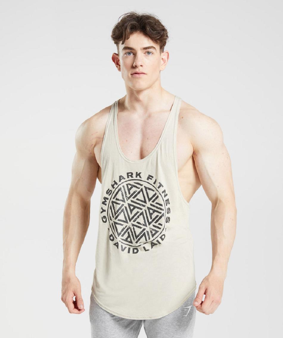 Stringers Męskie Gymshark Gs X David Laid Szare | PL 3728VRW